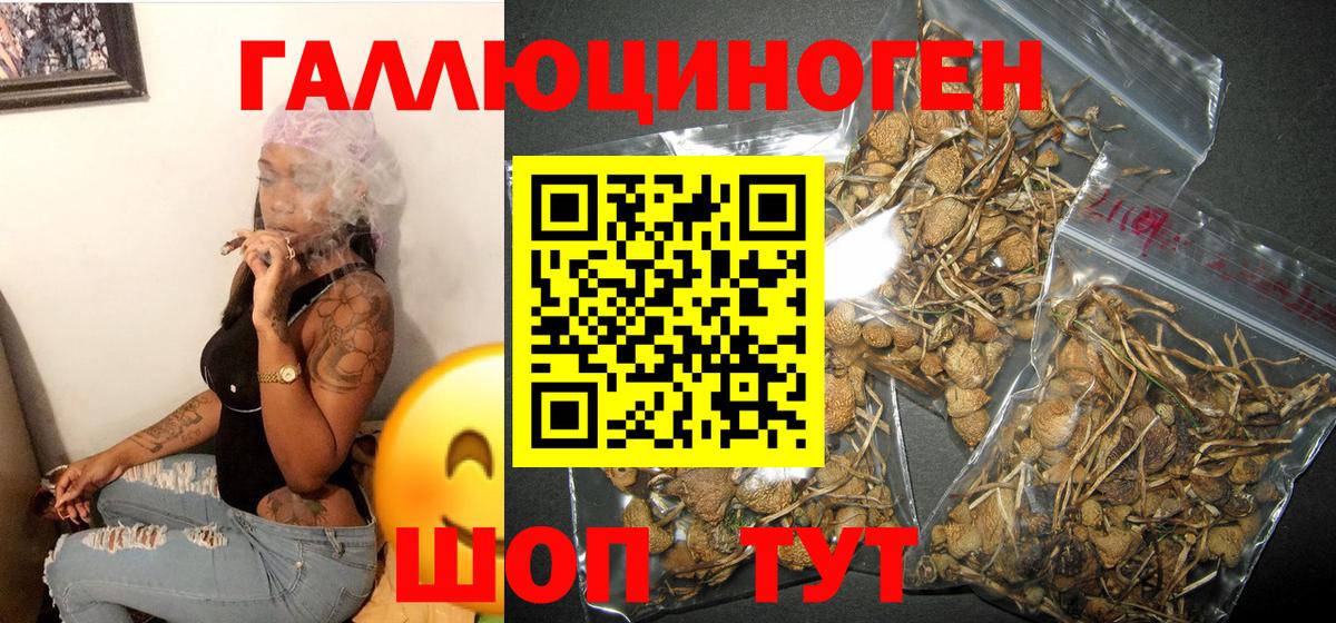 Галлюциногенные грибы GOLDEN TEACHER Грозный