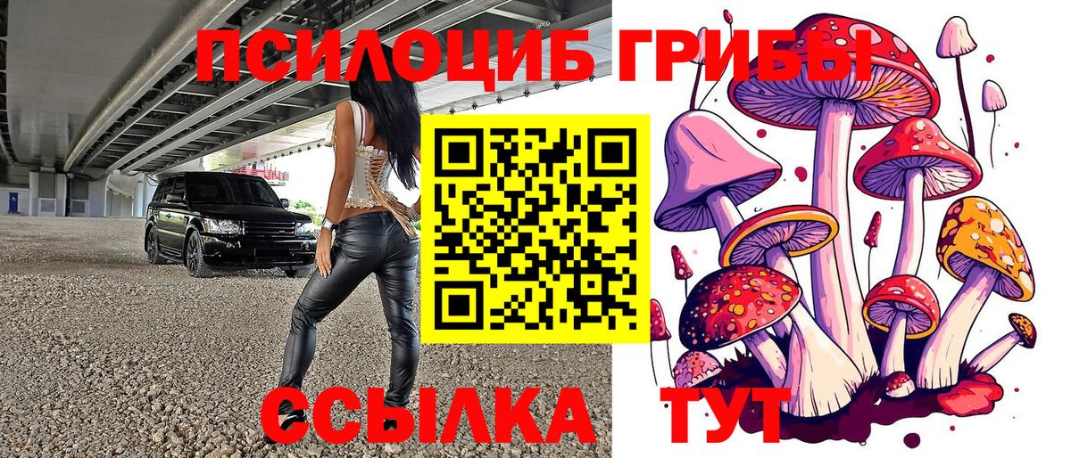 Псилоцибиновые грибы Magic Shrooms  Вход с VPN  Грозный 
